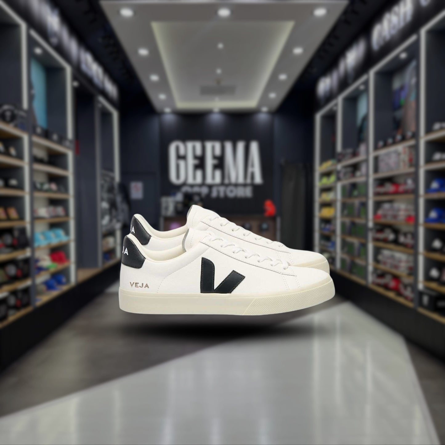 VEJA CLASICO